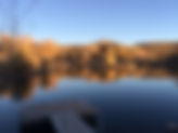 Pond