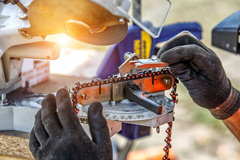 FWPCOT2237 - Maintain Chainsaws.jpeg