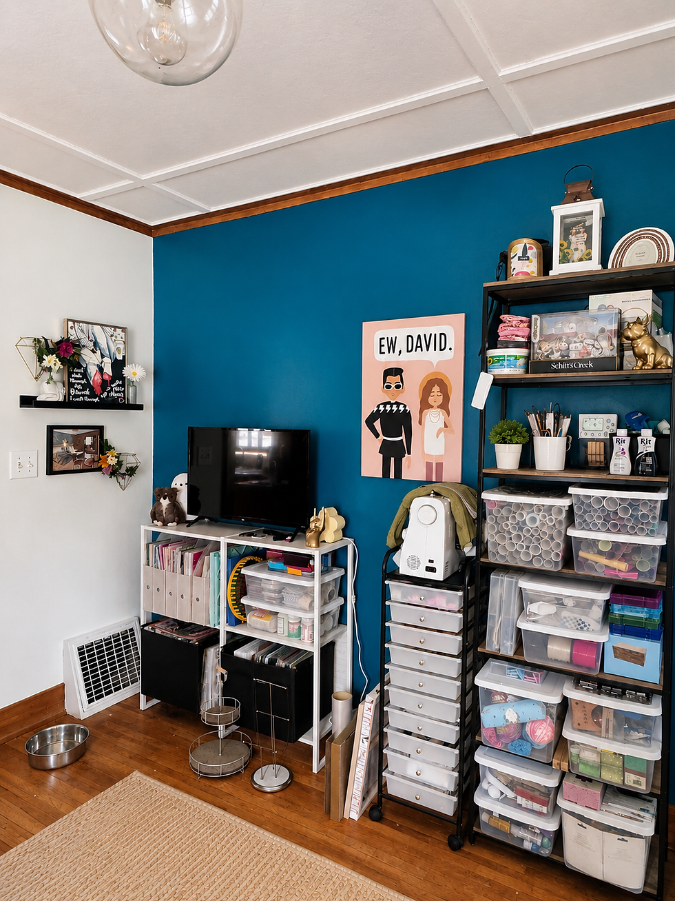 Craft room with blue accent wall, TV, storage bins, and shelves; poster reads EW, DAVID. Cozy, organized, colorful.
