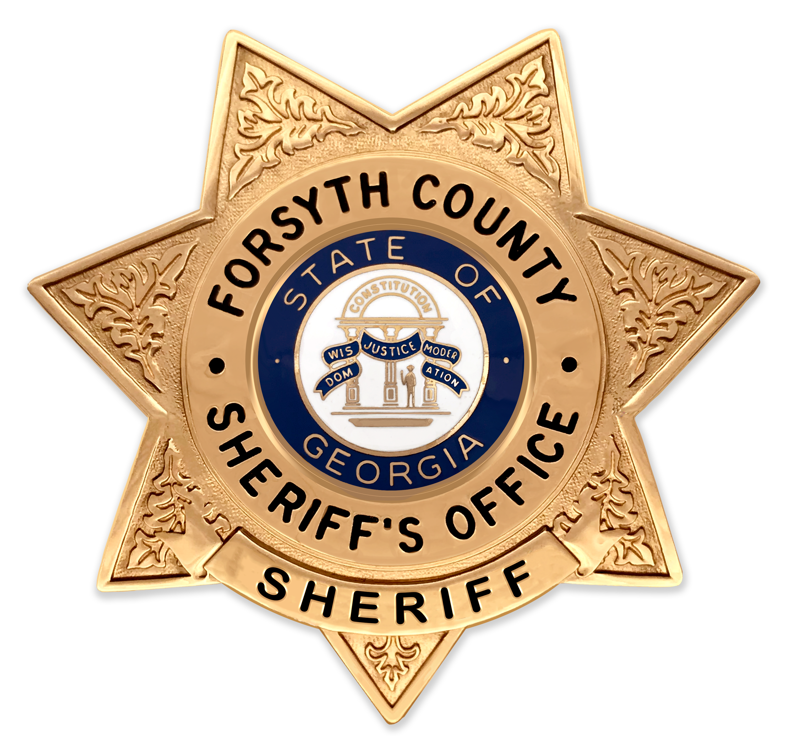 Forsyth County Sheriff's Office logo
