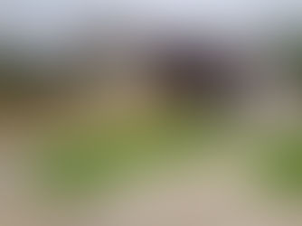 Synthetic Grass in a Westbrook Garden