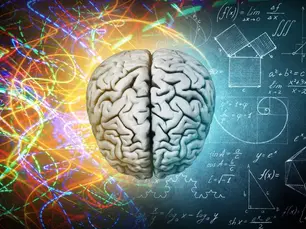 More Than Just Cracking: The Neurological Benefits of Chiropractic Care