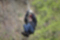 zip-line-896830_1920.jpg