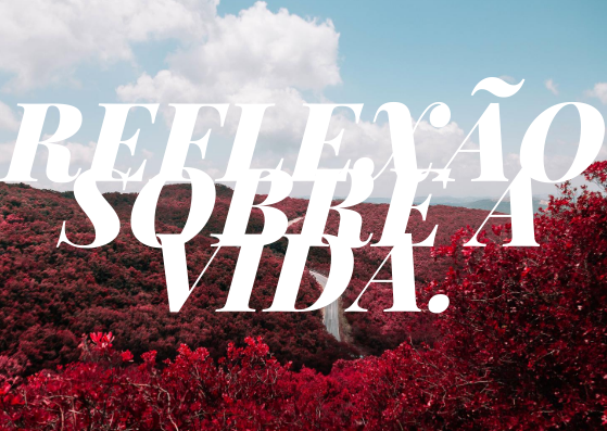 REFLEXÃO SOBRE A VIDA.