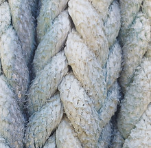 PG2558406-04A8A015-FC41-4B94-9F58-ABA5849CAD96 hd.jpg