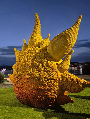 IMG-20250908-WA0062 (1).jpg