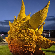 IMG-20250908-WA0062 (1).jpg