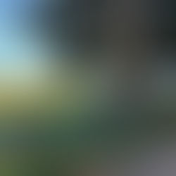 Where healing Hides…