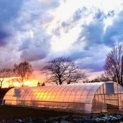 A customer's greenhouse with exhaust fan lit up by the sunset