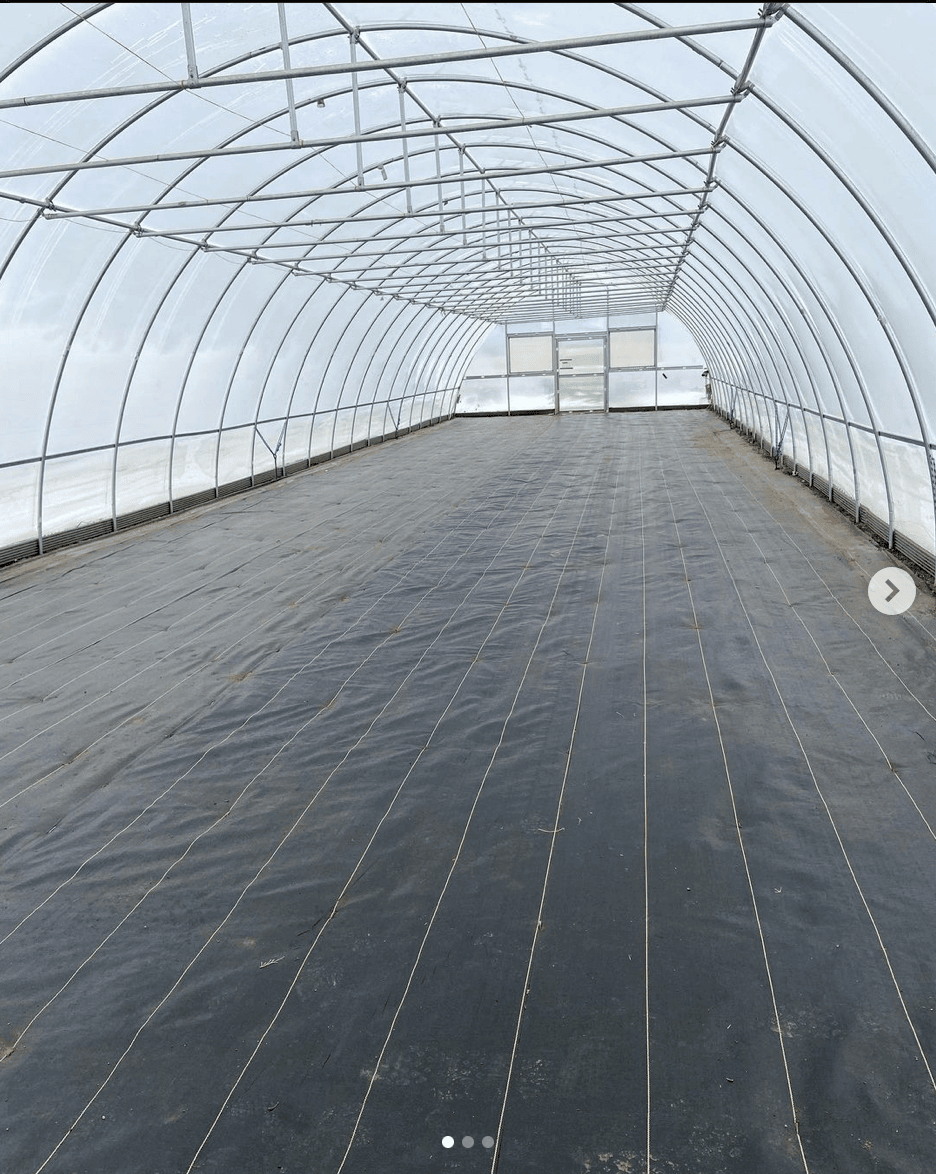 Ground Cover Use in the Greenhouses: A Comprehensive Guide to Benefits and Why GreenhouseKits1 is Your Best Choice