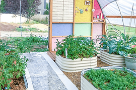 Backyard Series | greenhousekits1