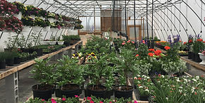 Four season greenhouse kit with double poly film and inflator fan for winter growing