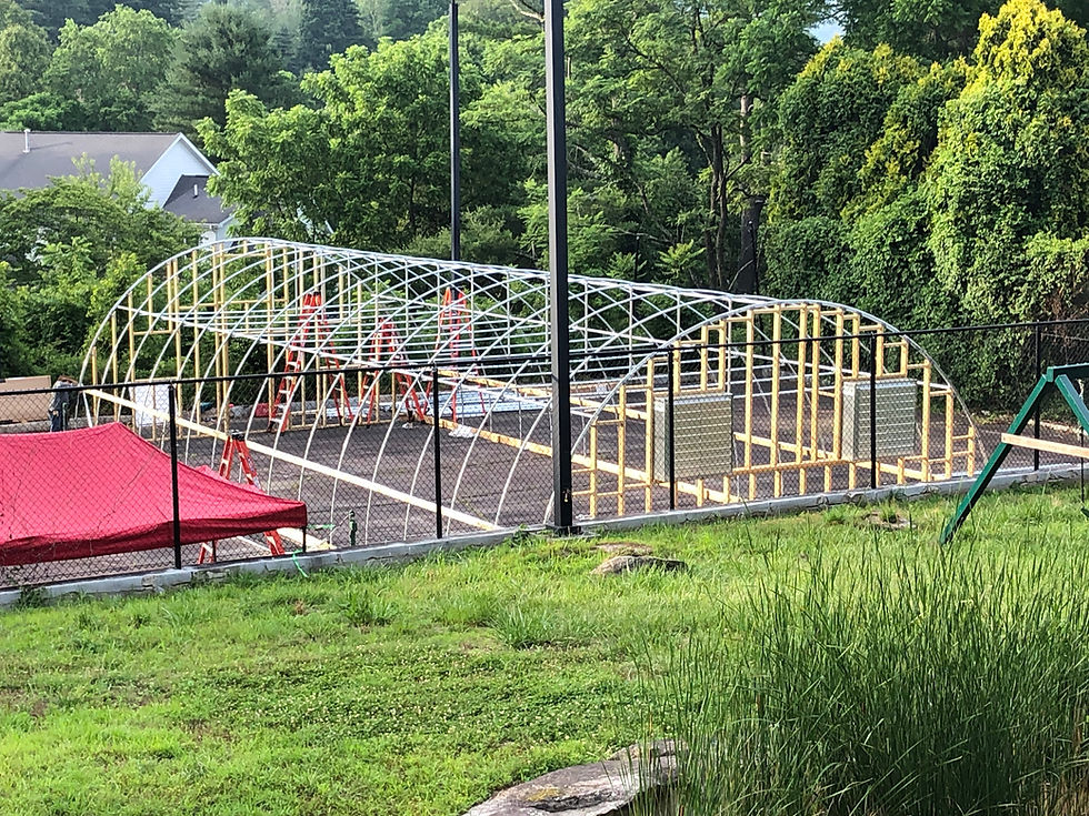 Fully Braced Greenhouse Kit greenhousekits1