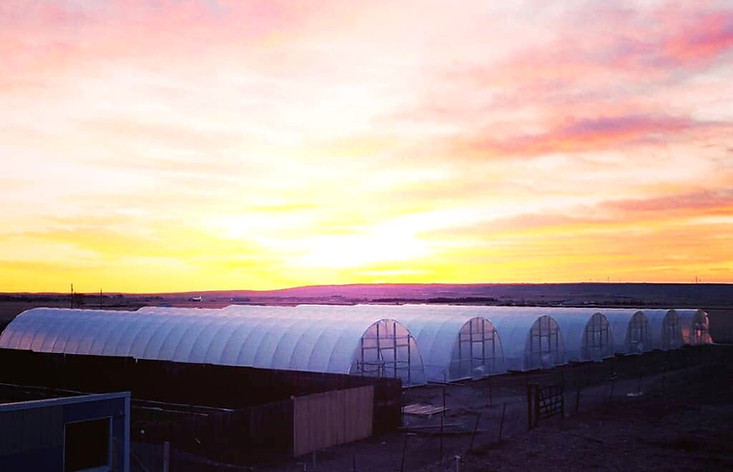 Farm Package greenhouse kits provide durable, large-scale high tunnels built for farmers who need reliable, year-round growing structures.