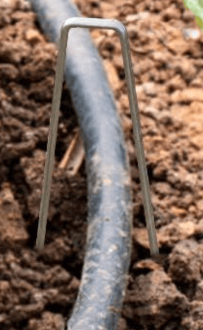 Thumbnail: galvanized landscape staples