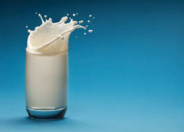 The importance of milk as a source of vitamin B12 for human nutrition