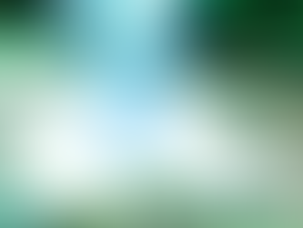 Perth Suburbs with Highest Growth in 2025 – What Buyers & Sellers Need to Know