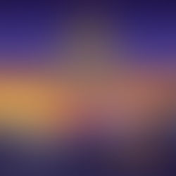 CAMBRIA FILM FESTIVAL FEB 4-8