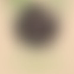 SPRING CRAFT JAM  MARCH 26-27