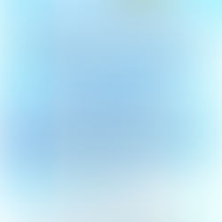 VIVA ROTARY DINNER MARCH 14