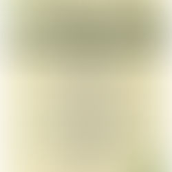 St Patty's Day at Robins March 17