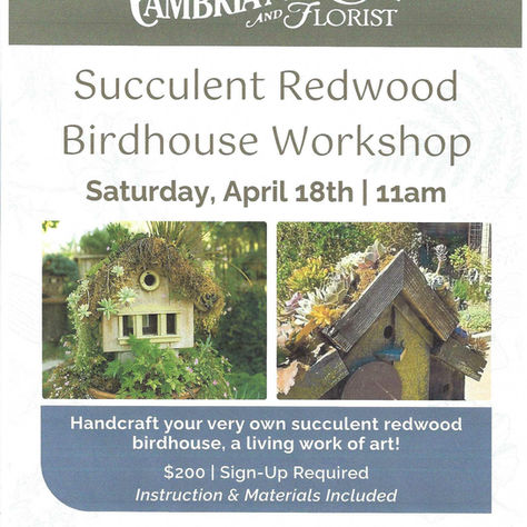 SUCCULENT BIRDHOUSE WORKSHOP APRIL 18