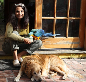 mukta-singh-zocchi-1.jpg