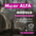 MÓDULO 9