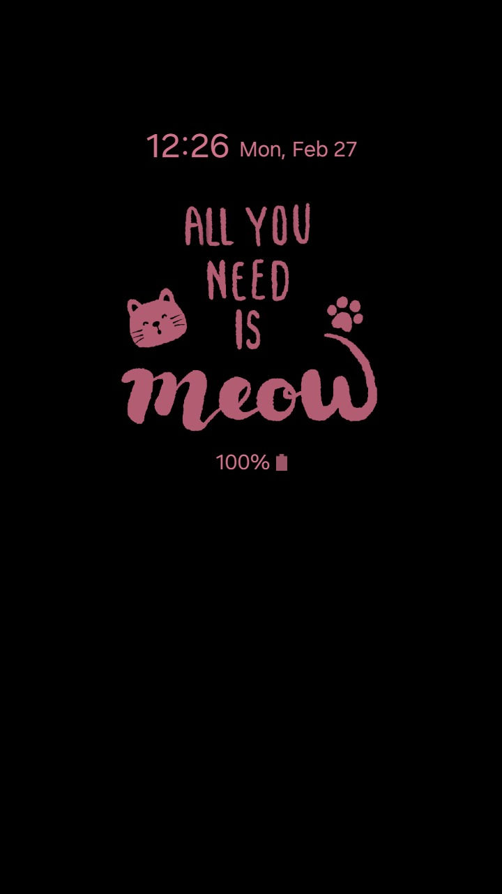 縮圖：All You Need Is Meow_ Cute Cat Pinky