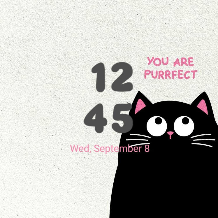 縮圖：Cute Blackpink Cat_You Are Purrfect