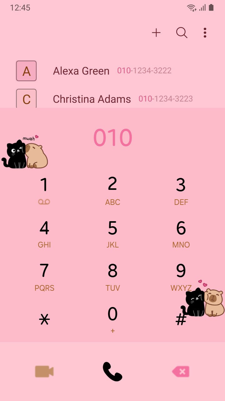 縮圖：Capybara ♥ Black Cat – Cute Love Theme