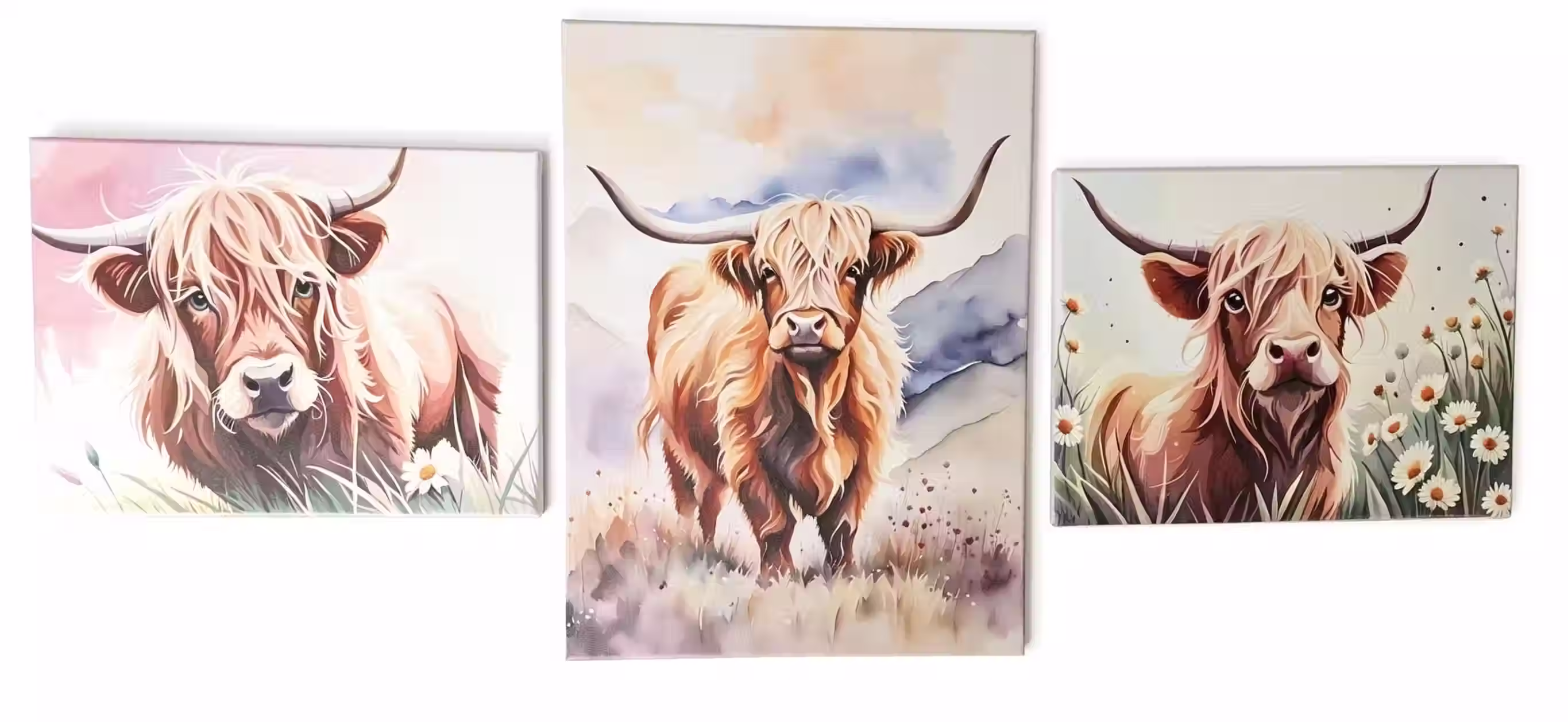Highland Cow Canvas Set
