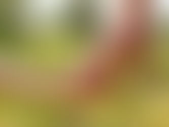 Förstå din stresskänsla som funkisförälder