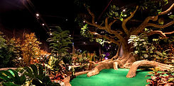 Treetop Adventure Golf.jpg