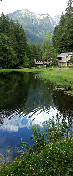 IMG_20170609_162719629_edited.jpg
