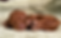 IMG_7196_edited.png
