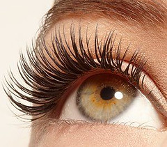 What You Need to Know About Using Lash Growth Serums.jpg