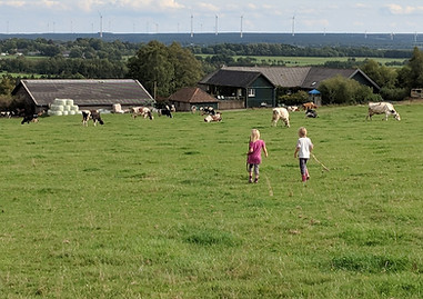 Urlaub auf dem Bauernhof als Teil der Geschichte des Victorhofes, Kinder beim Kühe treiben