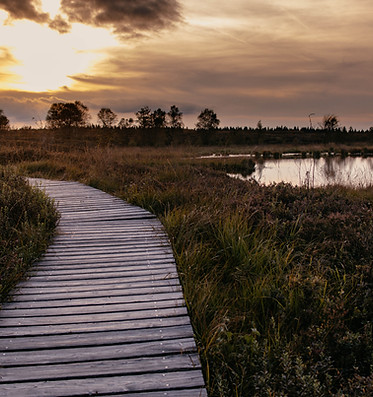 High Fens of North Rhine-Westphalia