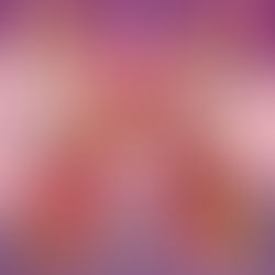 スクールガイド表紙