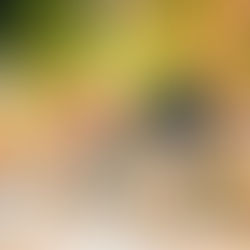 けやきライトパレード