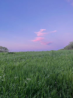 Dusk on the Ridge