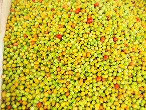 How & Where Does Your Food Grow? (Pt.1)