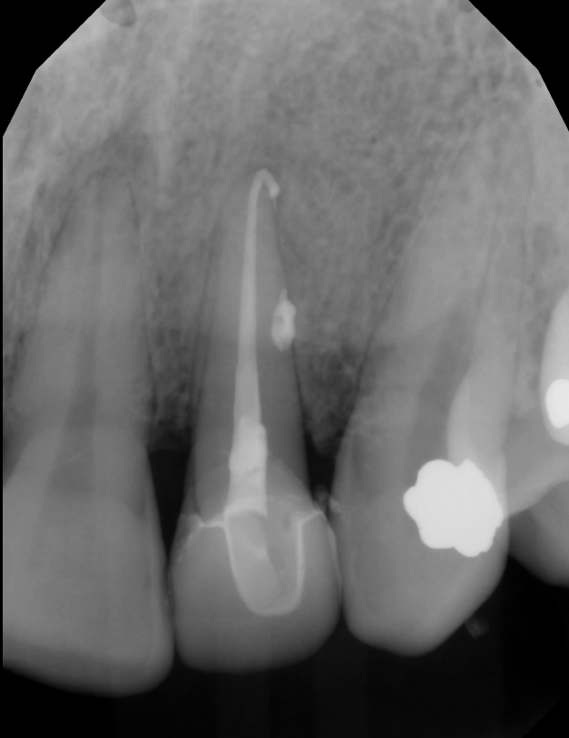 Screenshot 2026-02-26 085835