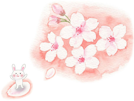 園だより4月号のお知らせ