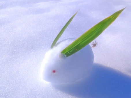 園だより2月号のお知らせ