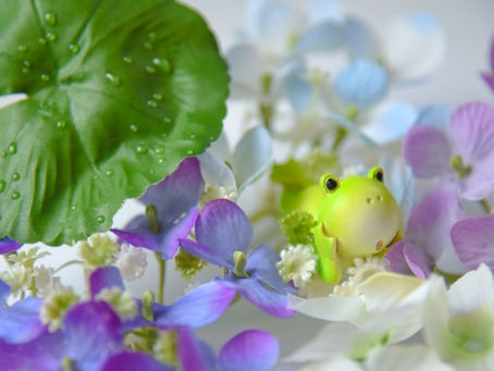 園だより6月号のお知らせ