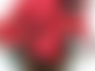 令和5年 クリスマス会
