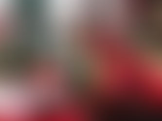 園だより12月号のお知らせ