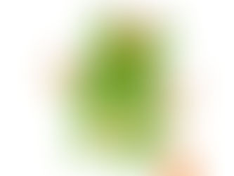 園だより1月号のお知らせ